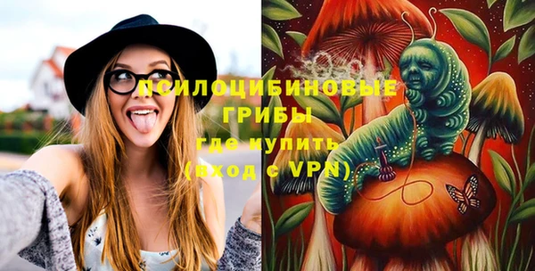 apvp Медногорск