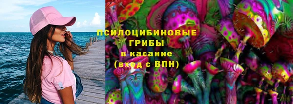 apvp Медногорск