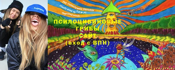 MDMA Медвежьегорск