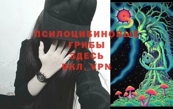 бутират Мегион