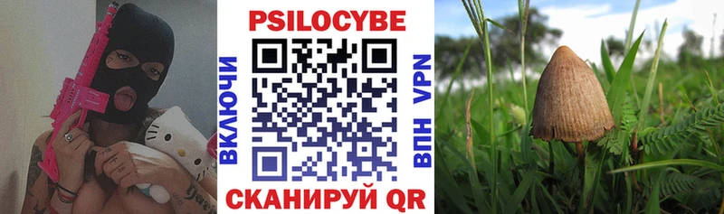 Псилоцибиновые грибы прущие грибы  Ухта 
