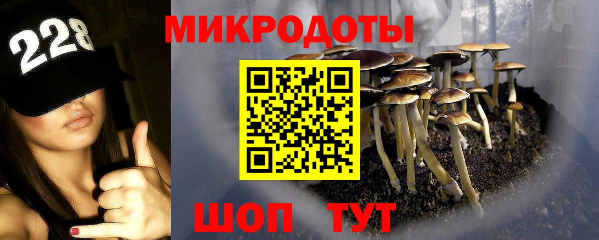 Псилоцибиновые грибы Magic Shrooms Ухта